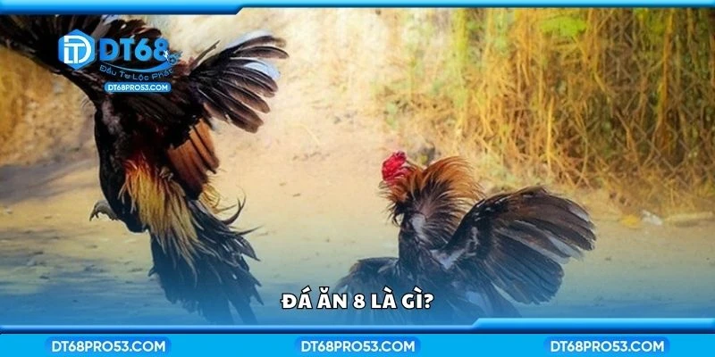 Đá ăn 8 là gì?