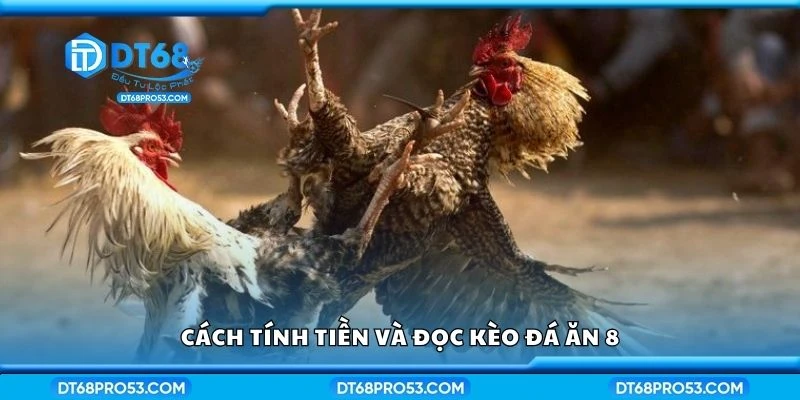 Cách tính tiền và đọc kèo đá ăn 8