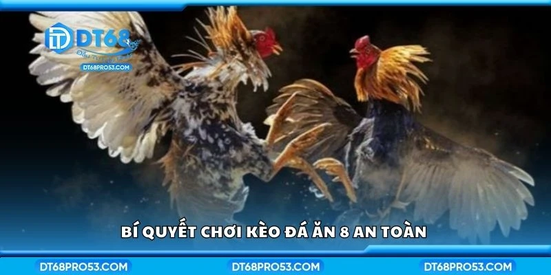 Bí quyết chơi kèo đá ăn 8 an toàn 