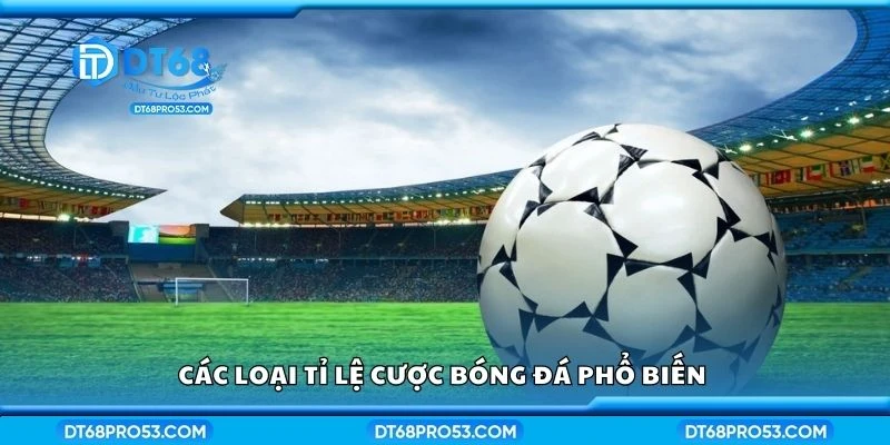 Các loại tỉ lệ cược bóng đá phổ biến 