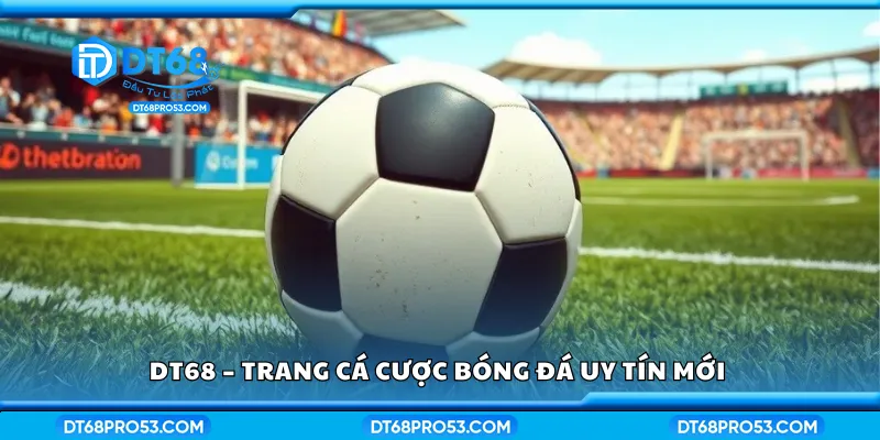 DT68 – Trang cá cược bóng đá uy tín mới 
