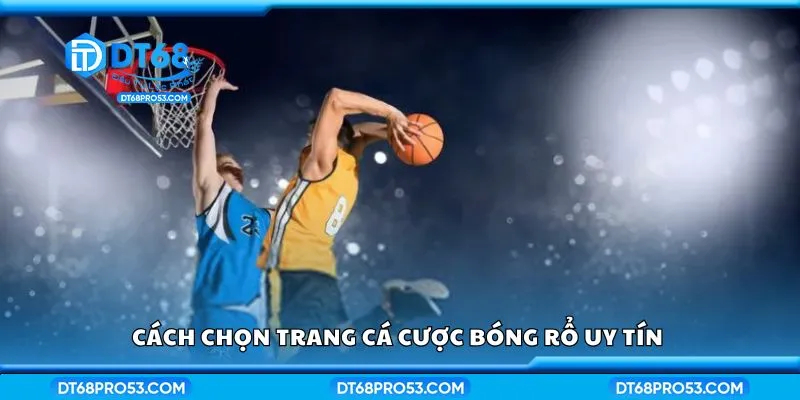 Cách chọn trang cá cược bóng rổ uy tín 